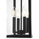 Sheridan 4 Light 9 inch Black Outdoor Pendant