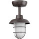Odell LED 9.3 inch Bronze Outdoor Wall Sconce
