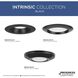 Intrinsic LED Black Recessed Trim