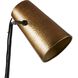 Draper 60.00 watt Blackened Floor Lamp Portable Light