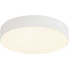 Rynn 5.25 inch White Flush Mount Ceiling Light