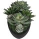 Verde Succulent Black and Green Centerpiece In Bowl