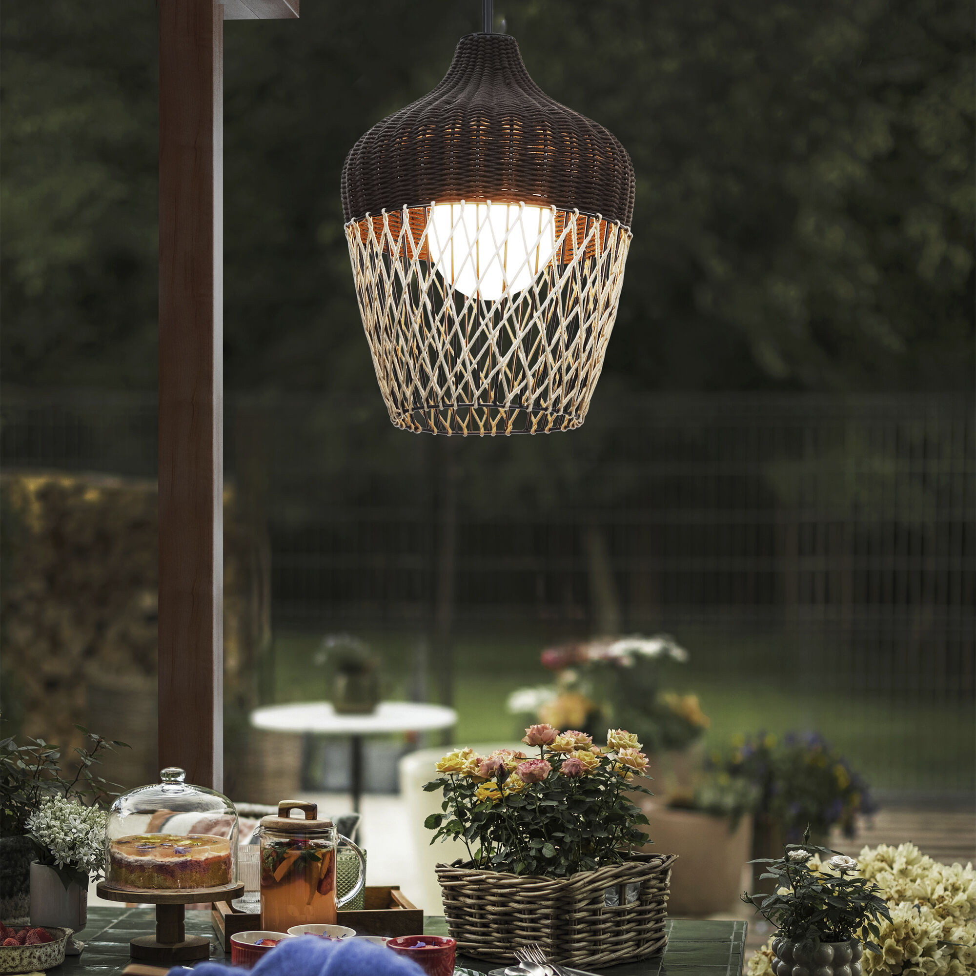 Hannah 1 Light 22 inch Black Outdoor Pendant, Both Indoor/Outdoor