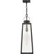 Hugh 1 Light 8.5 inch Black with Burnished Bronze Outdoor Hanging