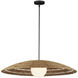 Barbary 1 Light 42 inch Black Outdoor Pendant