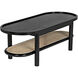 Amore 47 X 20 inch Charcoal Black Coffee Table