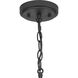 Burgess 1 Light 9.5 inch Matte Black Mini Pendant Ceiling Light, Design Series