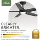 Zentech 44 inch Matte Black Outdoor Ceiling Fan