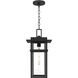 Morgan 1 Light 10 inch Earth Black Outdoor Hanging Lantern