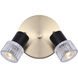 Elsee 2 Light Black/Gold Track Lighting Ceiling Light