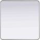 Remy 36 X 36 inch Silver Mirror