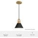 Carrington Isle 1 Light 7 inch Flat Matte Black and Luxe Gold Pendant Ceiling Light, Mini