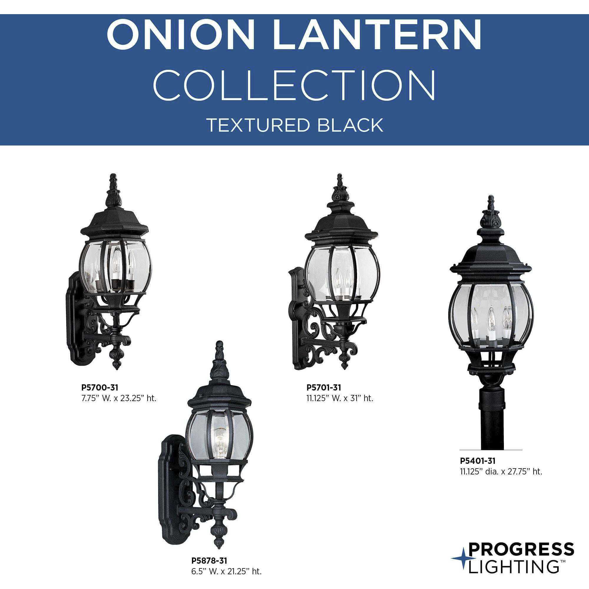 Onion 1 Light 21 inch Textured Black Outdoor Wall Lantern