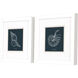 Shell Study on Teal Blue and Black and White Framed Art, Propac