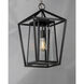 Artisan 1 Light 12 inch Black Outdoor Hanging Lantern