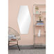 Switzer 48 X 24 inch Wall Mirror