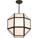 Hoi LED 24 inch Matte Black Chandelier Ceiling Light
