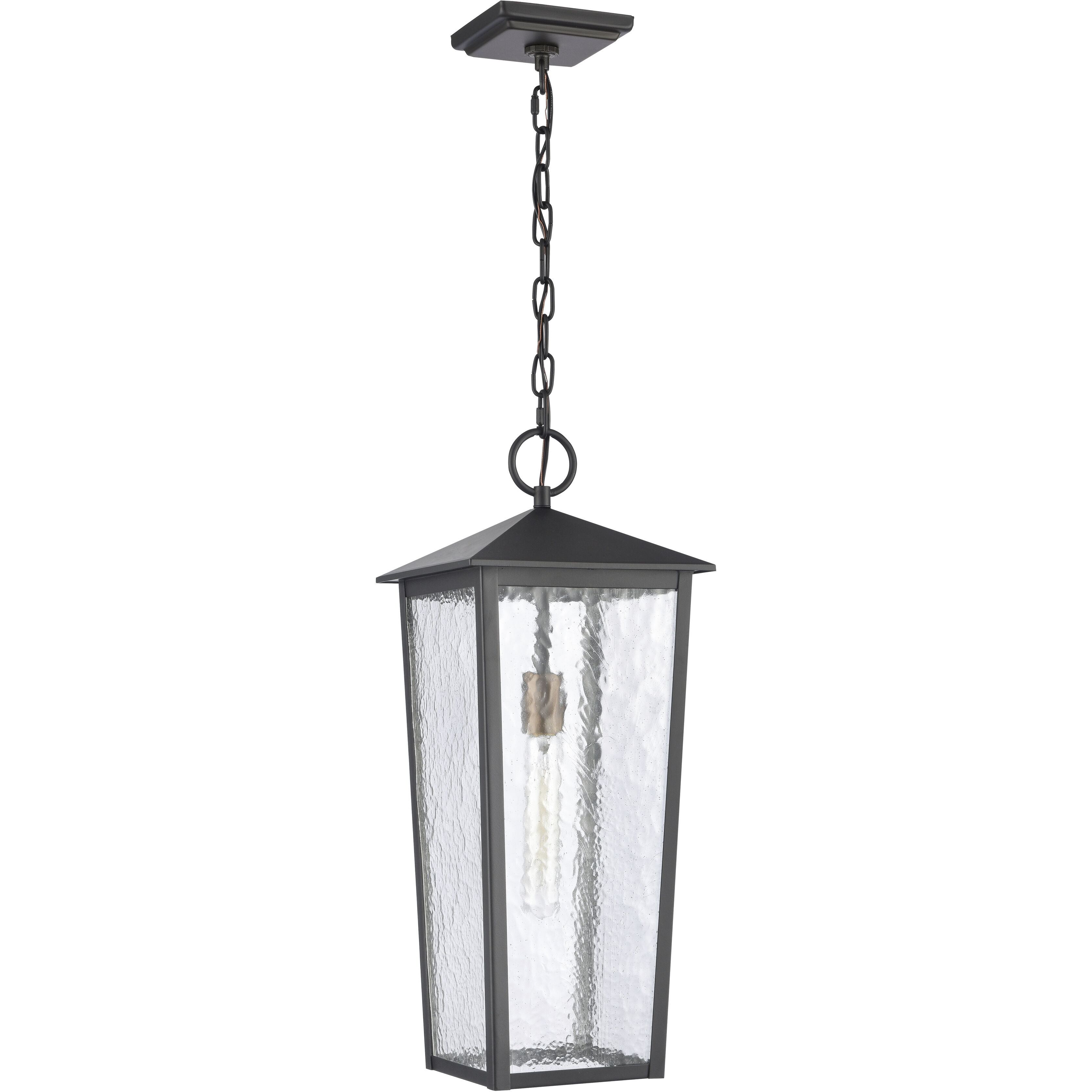 Marquis 1 Light 9 inch Matte Black with Chemical Oz and Clear Outdoor Pendant