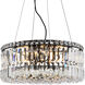 Maxime 12 Light 20 inch Black and Clear Chandelier Ceiling Light