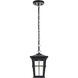 Bodine 1 Light 7 inch Black Outdoor Pendant
