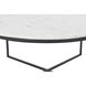Livia 35 X 15 inch Matte Black Coffee Table