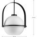 Delayne 1 Light 16.12 inch Matte Black Pendant Ceiling Light