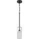 Ole' 1 Light 4 inch Matte Black Pendant Ceiling Light