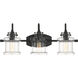 Danbury 3 Light 24 inch Earth Black Bath Light Wall Light