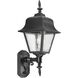 Non-Metallic Outdoor Wall Lantern