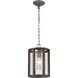 Renaissance Invention 1 Light 8 inch Aged Wood with Weathered Zinc Mini Pendant Ceiling Light