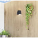 Cone LED 6 inch Black Outdoor Wall Sconce