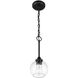 Glenda 1 Light 6 inch Flat Black Mini Pendant Ceiling Light