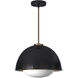EVOLV 15 inch Matte Black with Brass Accents Pendant Ceiling Light, Hemisphere Family