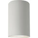 Ambiance Cylinder LED 12.5 inch Bisque Outdoor Wall Sconce, Large