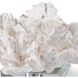 Flower Coral 8 X 4.5 inch Sculpture, Crystal Base