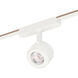 Continuum - Track 1 Light 120 White Track Light Ceiling Light