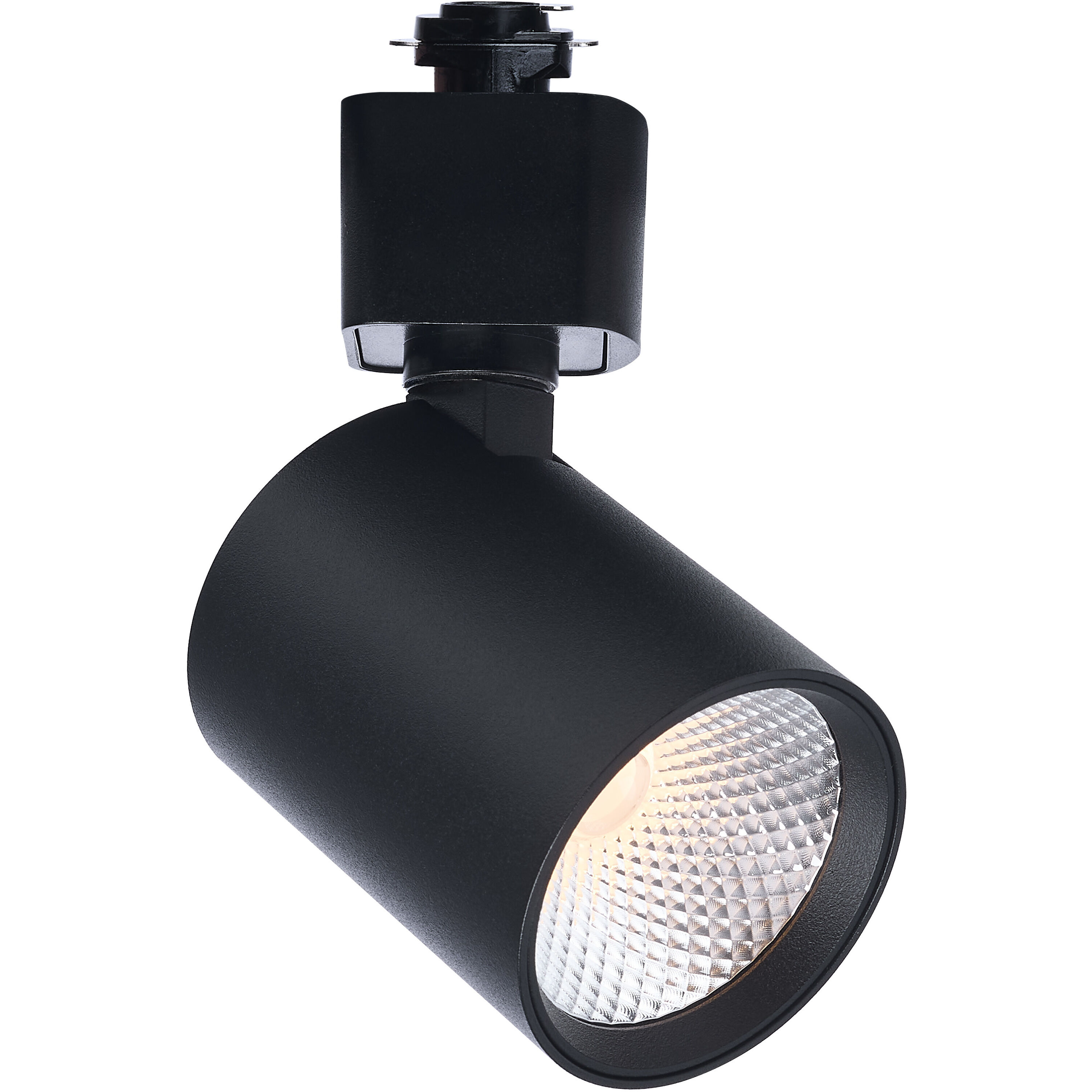 ColorQuick 120 Black LED Track Head - H-Type Ceiling Light