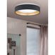 Maserlo LED 15.95 inch Black and Gold Flush Mount Ceiling Light