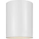 Outdoor Cylinders 1 Light 5.13 inch White Outdoor Flush Mount