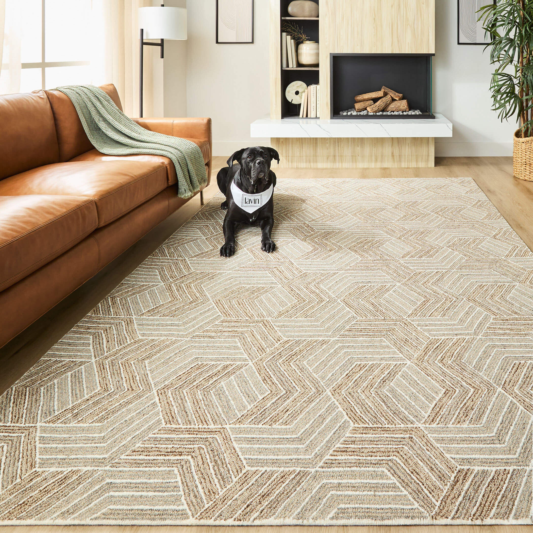 Sachin 90 X 63 inch Brown Rug in 5 x 7