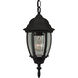 Bent Glass 1 Light 6.5 inch Textured Black Outdoor Pendant, Small