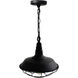 Morgan 1 Light 14 inch Black Down Mini Pendant Ceiling Light