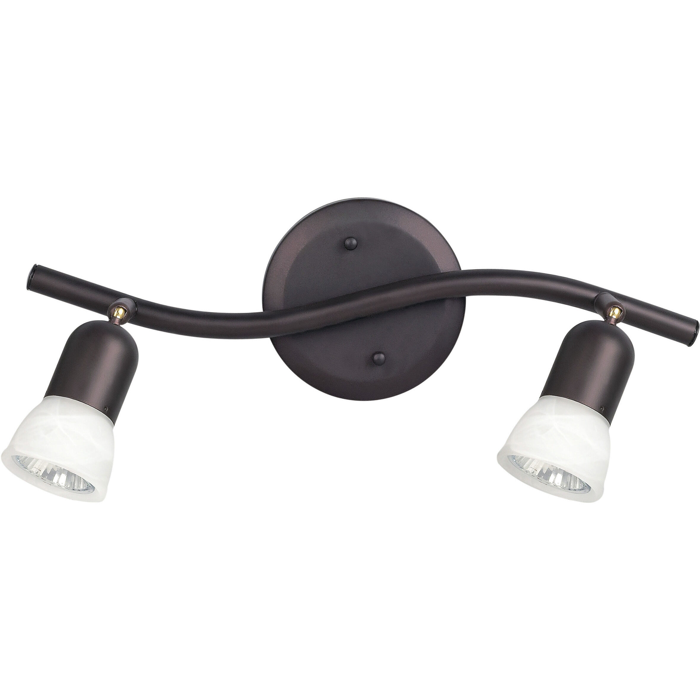 James 2 Light 120 Oil Rubbed Bronze Track Lighting Ceiling Light