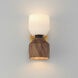 Akimbo Wall Sconce Wall Light