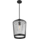 Lido 1 Light 13 inch Matte Black Pendant Ceiling Light