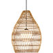 Fishtrap 1 Light 29.5 inch Black Outdoor Pendant