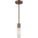 Fusion Collection - Rimini Family 1 Light 2 inch Brushed Brass and Clear Ribbed Pendant Ceiling Light, EVOLV