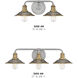 Rigby 2 Light 19 inch Antique Nickel with Heritage Brass Vanity Light Wall Light