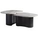 Melt 35 X 17 inch Ebony and Galaxy Marble Coffee Tables, Set of 2