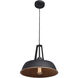 Nostalgia 1 Light 14 inch Matte Black Outer and Matte Gold Inner Pendant Ceiling Light